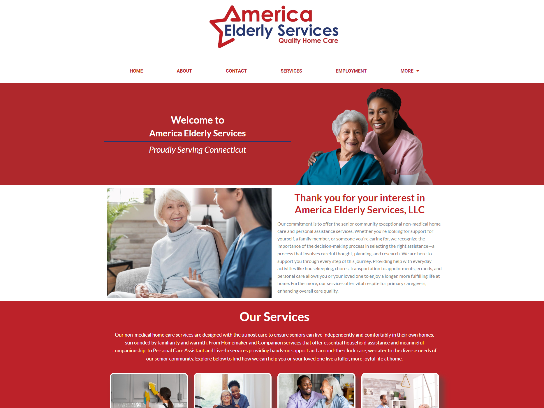 www.americaelderlyservices.com_